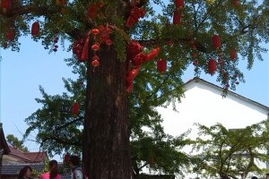 2. 抢钱门票大公开