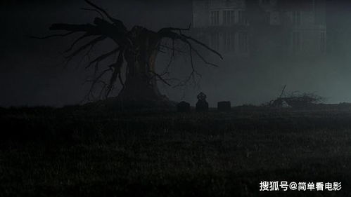 三、  夜幕下的折磨：轮回与恐慌的循环