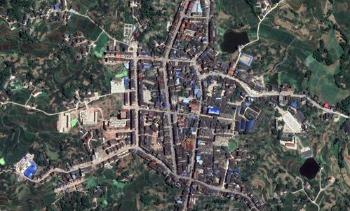 第三章：新街镇的美食， 我的肠胃经历了什么叫Zuo人间炼狱