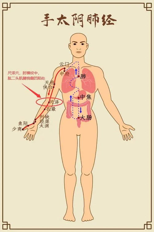 五、  调节与干预：同过穴位疏通改善运势的实践路径