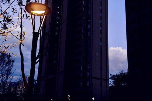 2. 口述史料与社区访谈