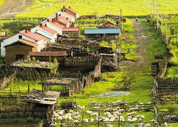 扎兰屯哪里有算命大师，起名服务比较灵验呢？