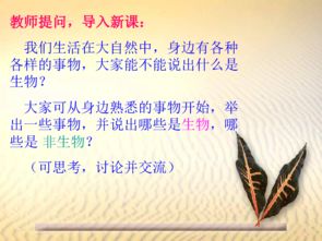 做事的命究竟意味着什么？做事的人有哪些特质？