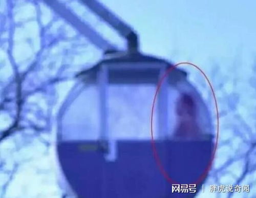 1.1 数据呈现与受众分布