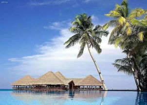 对抗性观点：利弊全盘托出