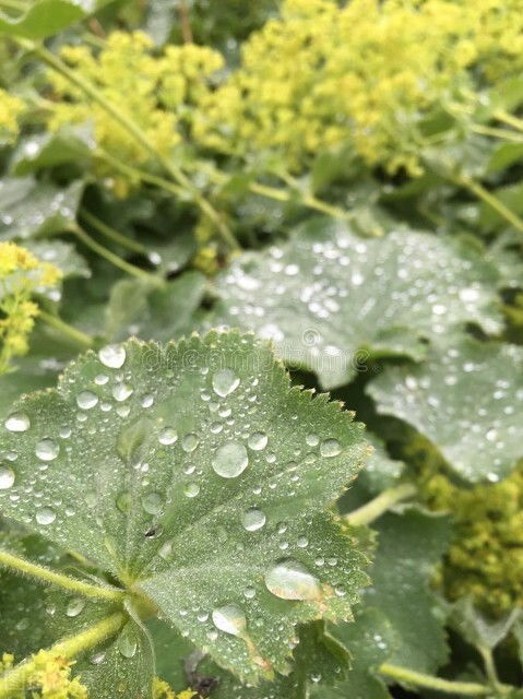 农业生产：从播种到收获的时间节点分析