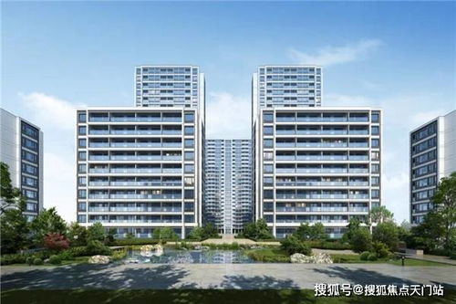 三、实际案例解析——类似命名成功或失利经验分享
