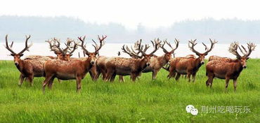 票价玄学：比星座运势还迷幻