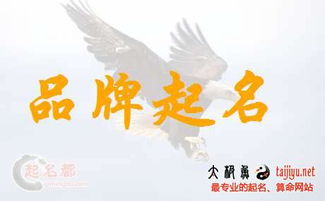 源字取名推荐有哪些？