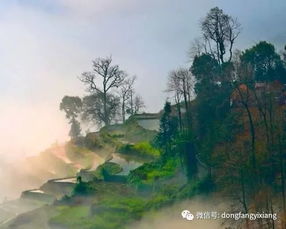 第三章：星象轨迹与生肖运势的深度解析