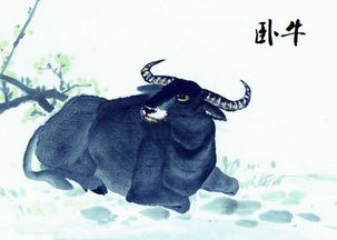一、 生肖牛