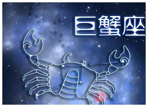 第四章　射手座——自主探险家