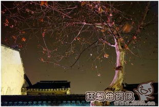 七、梦见自己在砍枯木...好爽？！