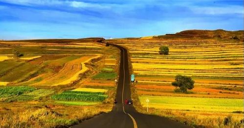 还有一个叫十三号村的地方