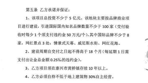 ：外资进入我国较大型购物中心建设的宏观背景与探究意义