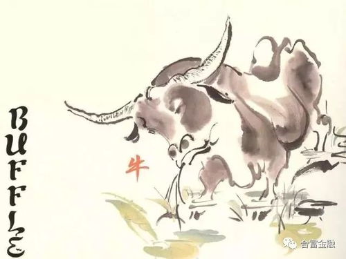 麦玲玲2026年属马人全年运势详解具体包括哪些方面？