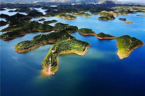 导航是个坑，路痴别来挑战！