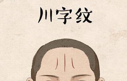 社会行为案例的隐喻解读