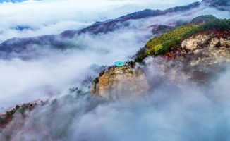 美食体验：敢吃才是真勇士