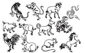 狮子座和哪个生肖配对最合适？算命婚姻免费生肖配对结果如何？