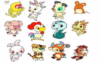 2026年属什么生肖，这是哪一年的生肖年份？