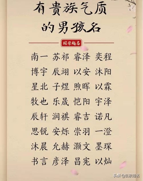 名字背后的能量场：不仅仅是良好听