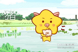 2019年属猪的本命年运势具体表现是怎样的？