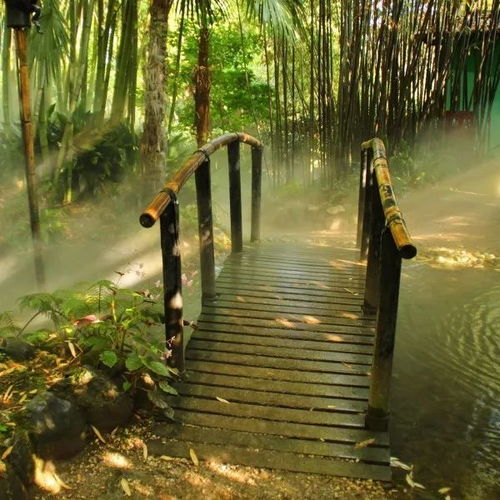 二、 网络舆情案例分析——从社交媒体数据看风水布局效应