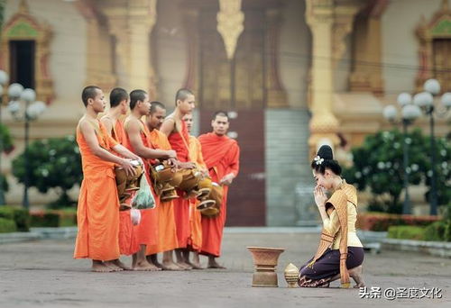探究综述