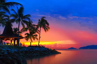 惯与沙巴的那些破事