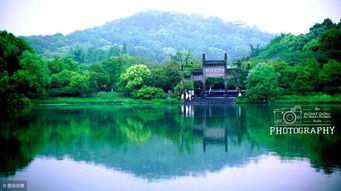 三、 四灵山诀在不同场景中的应用实例
