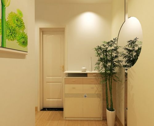 三、 光照条件对气场营造的影响机制