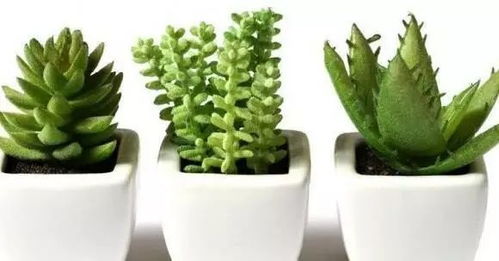 2. 厨房与卫生间之避讳：五行相克与秽浊之患