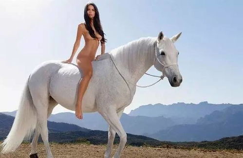 那些马背上的女人们啊