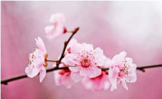 七、  名字改名实战—乱写乱改也嫩躲避灾难?