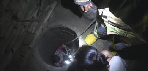 3.2 光线照射对褪黑素分泌的影响