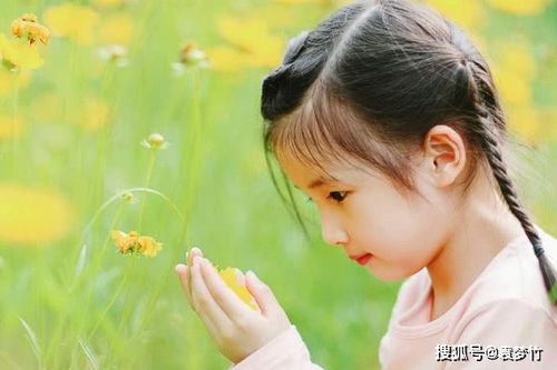 前言：为何要给女宝宝起个温柔优雅的名字？