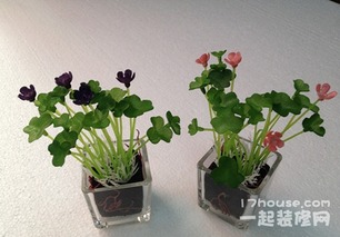 一、 定义与文化底蕴传承