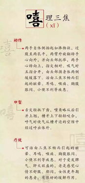 四、  饮食调养与性味归经的深度解析