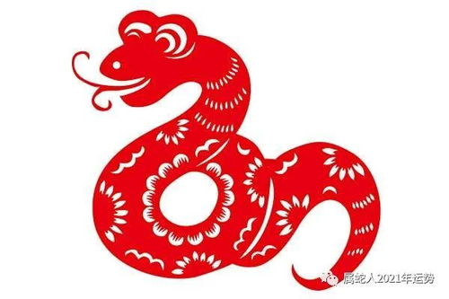 属蛇天秤座2026年农历七月运势如何？属蛇天秤2026年运势怎么样？