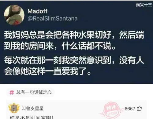 二、现实考量与理想追求之间的平衡