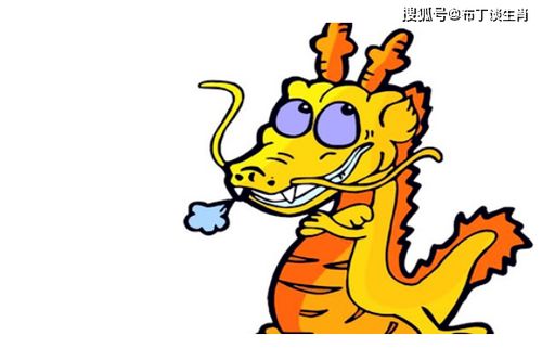 3. 属龙男性群体：责任感与贤内助兼备