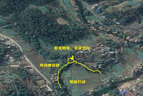 第四章：地势选择与生态环境的科学考量