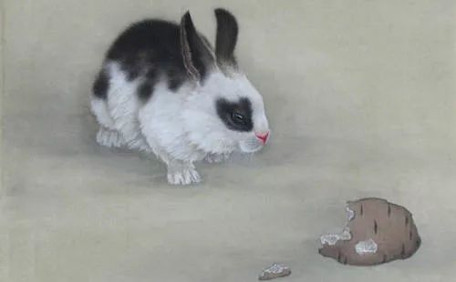 二、 属兔者：较宽容之心却简单被误解