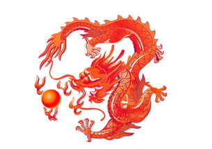 1988年属龙今年逢九该如何应对，且1988年属龙是属土还是属木有何含义？