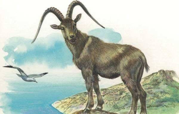 1991年属羊人2026年财运和运势具体如何？