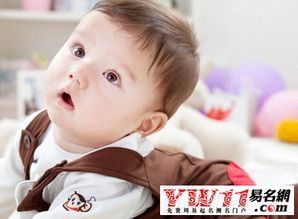 卢姓男孩名字精选较大全：一堆乱七八糟的良好名字
