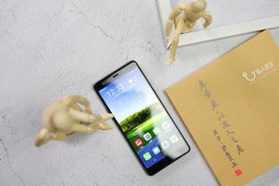 2026年重阳节吉利手机号码，1987年出生的人适合用哪种手机号码？