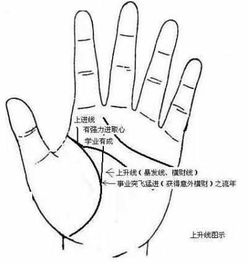 手相中哪种手相特征预示着容易发财？