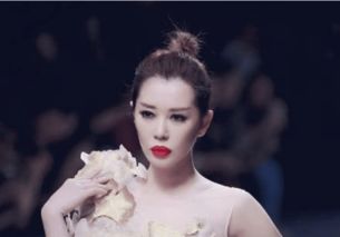 戴安·莲恩作为奥斯卡影后 哪部电影给您留下了较深刻的印象